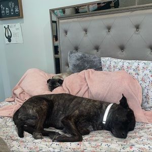 Meet your Posher, Bree